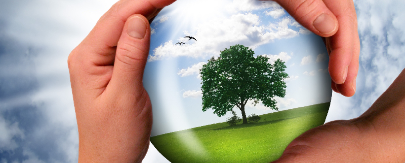 👉 “Las Ciencias Naturales nos permiten comprender la vida, cuidar el ambiente y valorar la relación entre los seres humanos y la naturaleza.” 🌱🔬🌍